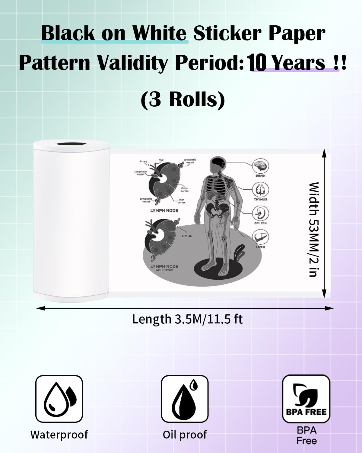 White T02 Printer Sticker Paper - Validity Period:10 Years - Memolife M02L Paper M02X Adhesive Paper, Memolife M02L Paper Compatible with Phomemo T02 Paper - 3 Rolls & 2in*11.5ft/Roll