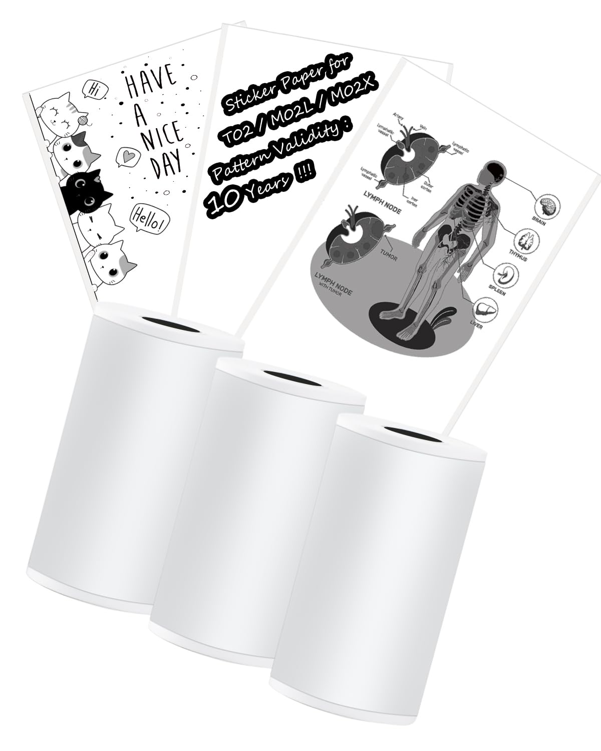 White T02 Printer Sticker Paper - Validity Period:10 Years - Memolife M02L Paper M02X Adhesive Paper, Memolife M02L Paper Compatible with Phomemo T02 Paper - 3 Rolls & 2in*11.5ft/Roll